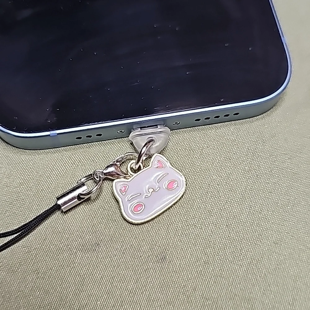 IPhone charge port dust plug